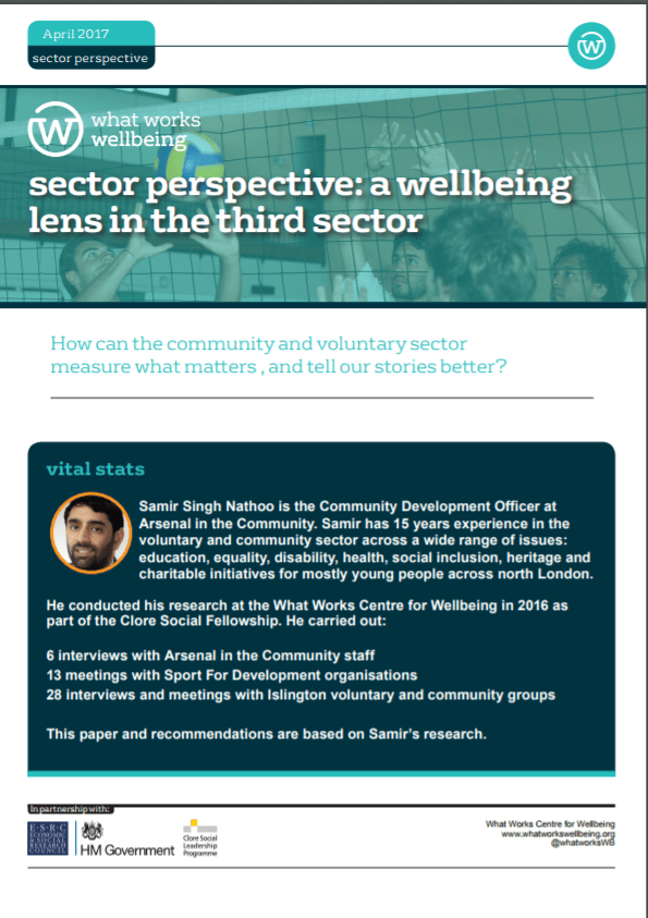 Sector Perspective: a Wellbeing Lens in the Third Sector