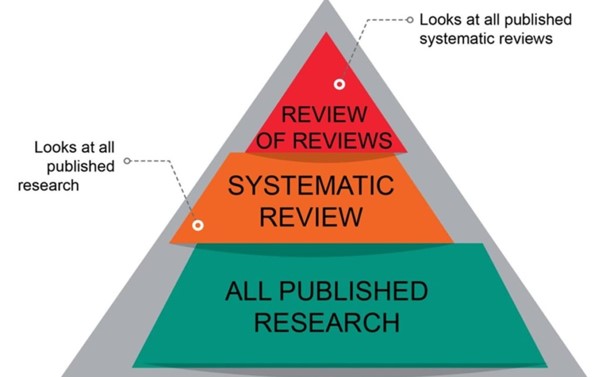 Pyramid with review of review at the top; followed by systemativ review; and all published research at the bottom.