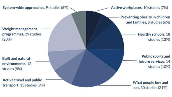 Obesity guest blog pie chart showing how many studies were funded across different areas of obesity research
