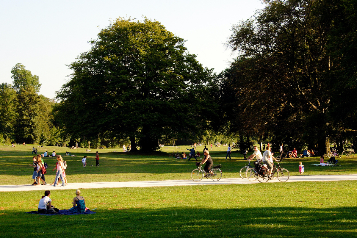 A park in summer with people sitting and cycling