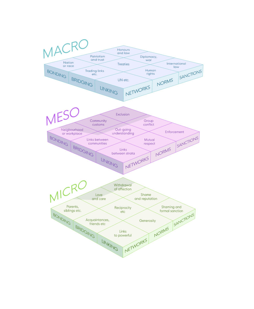 3D matrix detailing: micro, meso and macro levels of social capital; network, norms and sanctions; bonding, linking and bridging functions and examples of each aspect