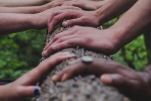 Multiple hands place palm down on tree trunk