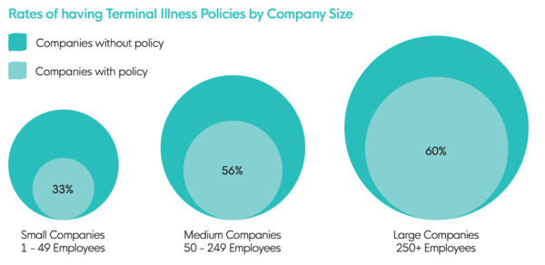 Rates of having terminal illness policies by company size. Small companies 1-49 employees, 33% with policy; medium companies 50-249 employees, 56% with policies; Large companies 250+ employees, 60% with policies