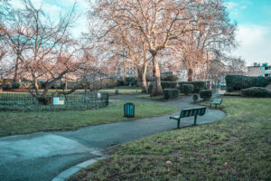 London park, photo by Miquel Parera, via Unsplash