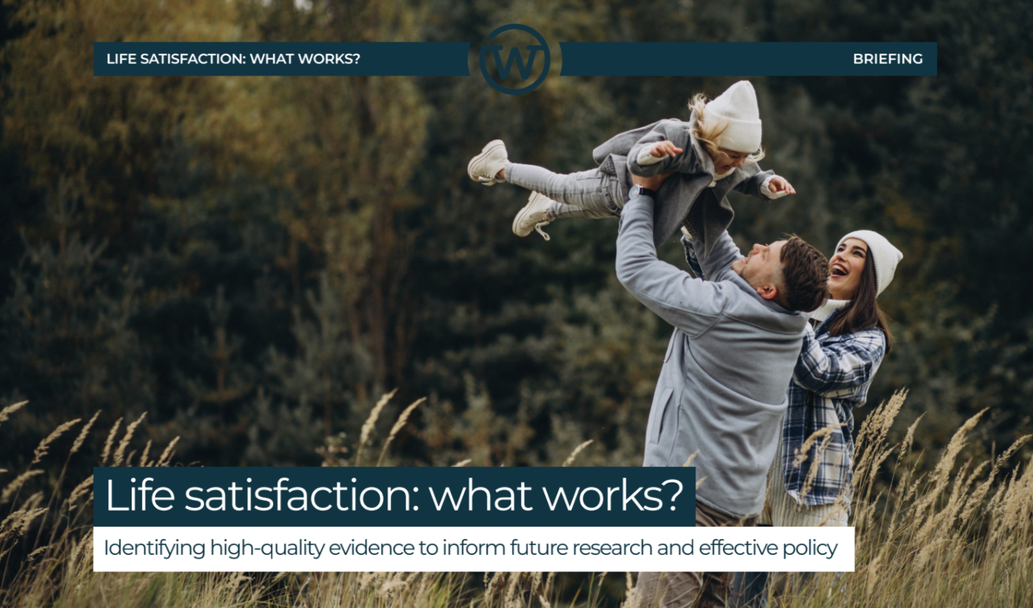 Life satisfaction – what works?