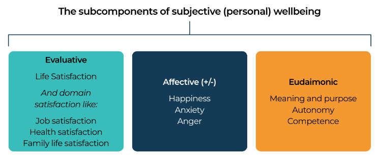 Diagram listing three subcomponents of wellbeing. Evaluative, Affective and Eudaimonic. 